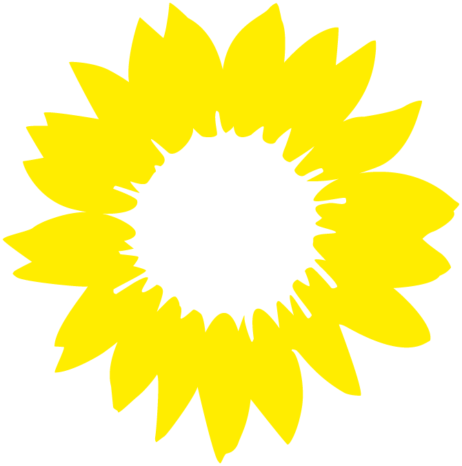 Sonnenblume